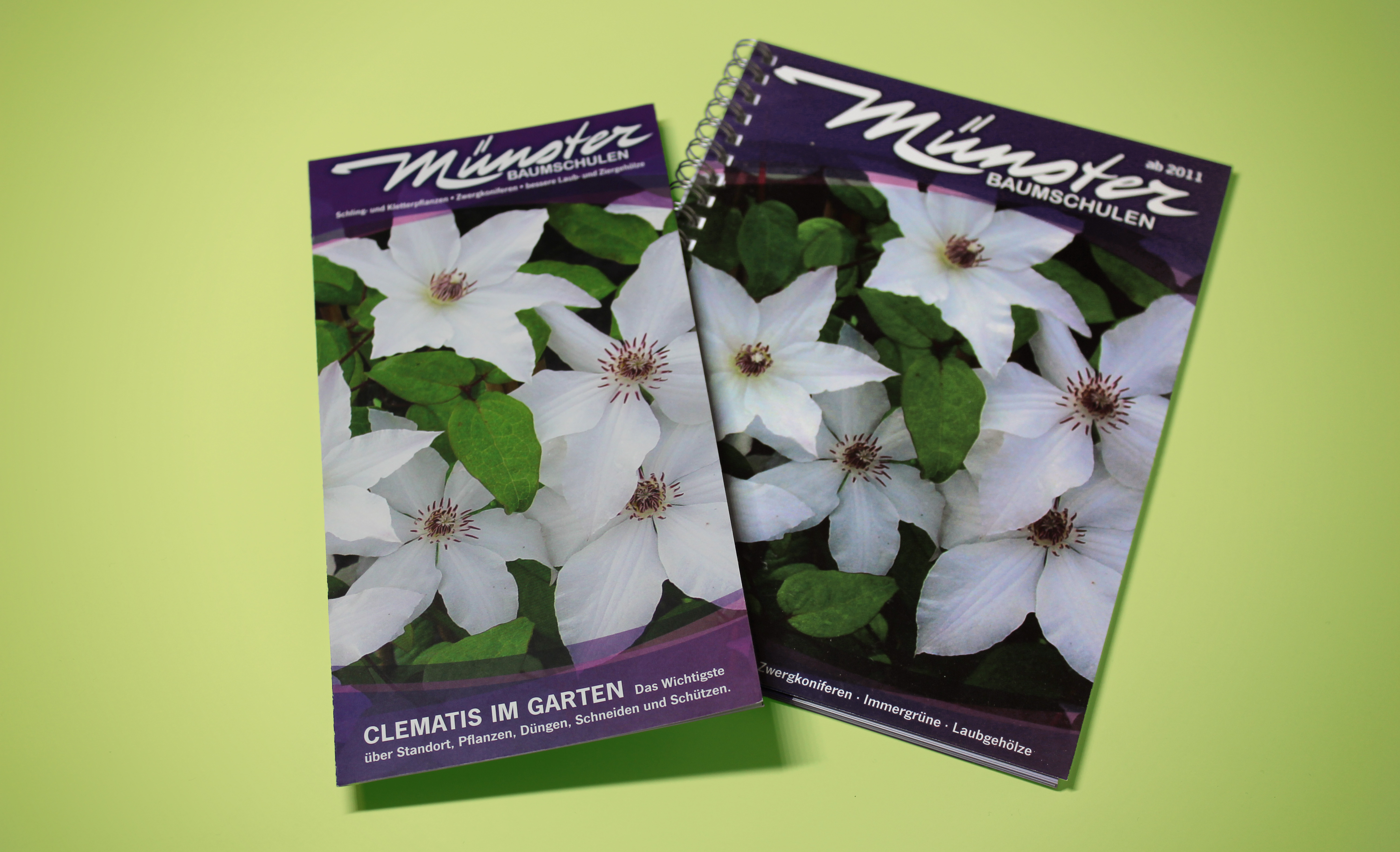 Floriculture catalogue and&nbsp;flyer